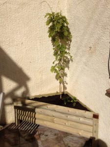 Triangular Garden Planter The Wooden Workshop Bampton Devon