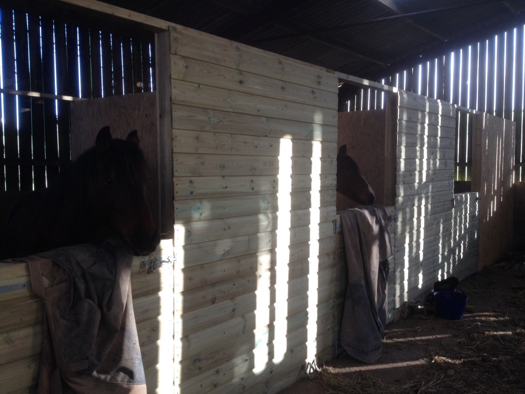 converted barn stables. The Wooden Workshop, Oakford. Devon (13)