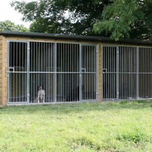 dog kennels with timber partitions