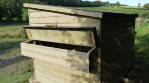 Large Chicken Shed