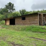 Shed Extension Waney Edge Cladding - The Wooden Workshop Devon