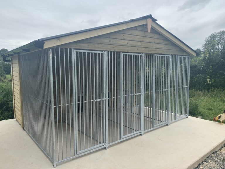 four bay dog kennel with galvanised panels