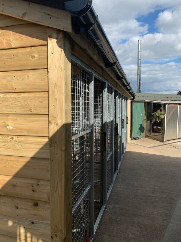 Galvanised mesh dog kennels - The Wooden Workshop Bampton Devon