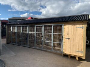 Galvanised mesh dog kennels - The Wooden Workshop Bampton Devon